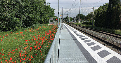 Temporary platform system